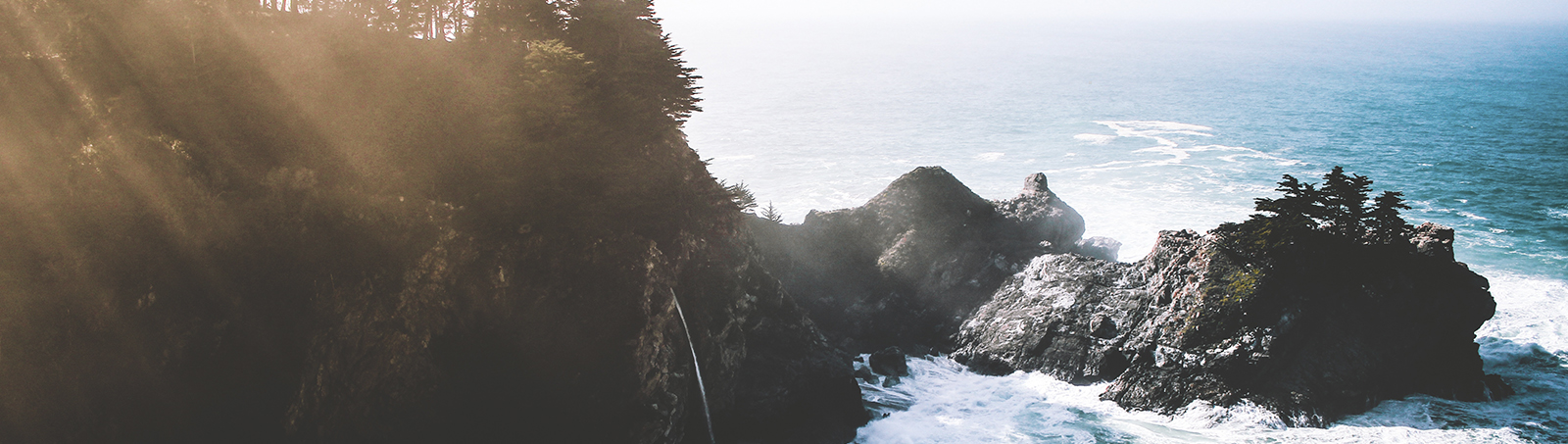 Rank in Google Search Now | Local SEO & GMB Ranking Experts